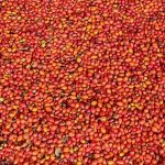 20190928_114603 copy